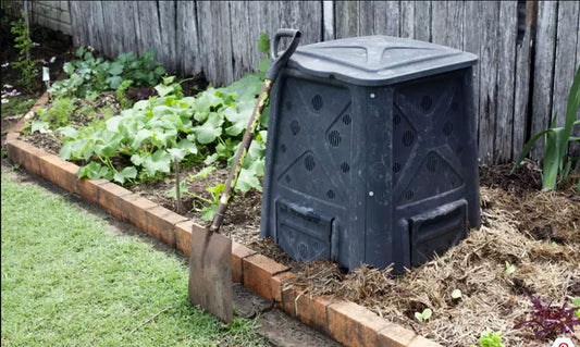 An introduction to trapping rats at home