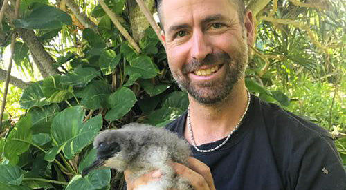 Interview with Andre Raine of Kauai Endangered Seabird Recovery Project