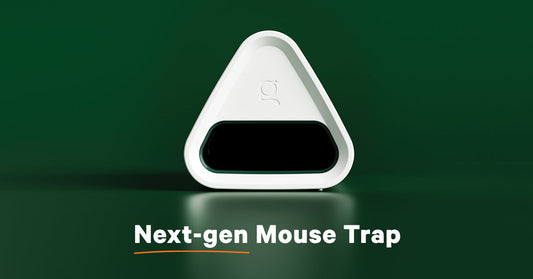 We Won! Goodnature Named a Global Design Innovator