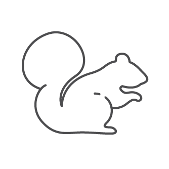 https://goodnature.co/cdn/shop/files/Squirrel_Outline_Charcoal.png?v=1697311567&width=3200