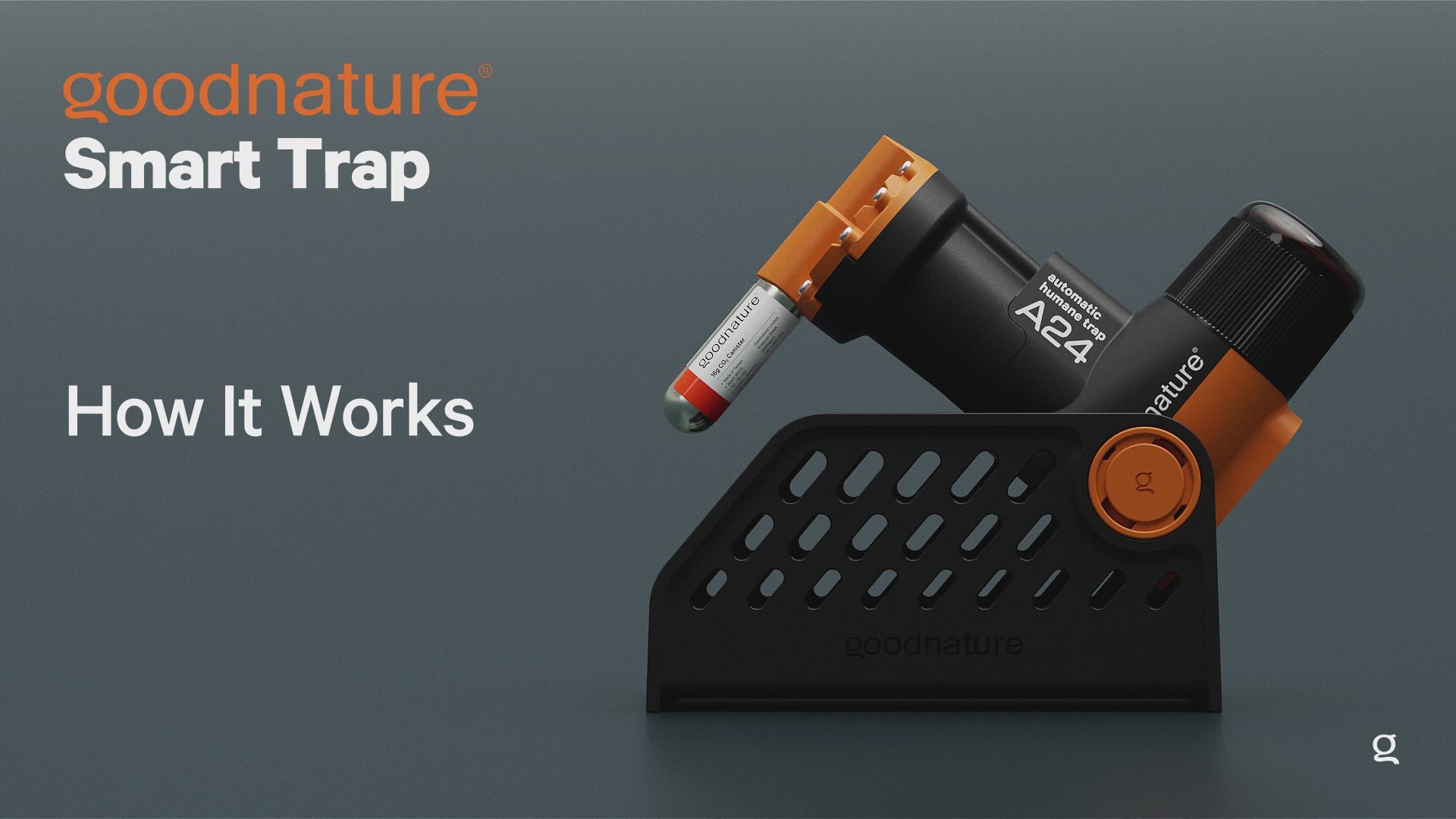 A24 Smart Trapping Kit | Automatic Trap Company – Goodnature USA