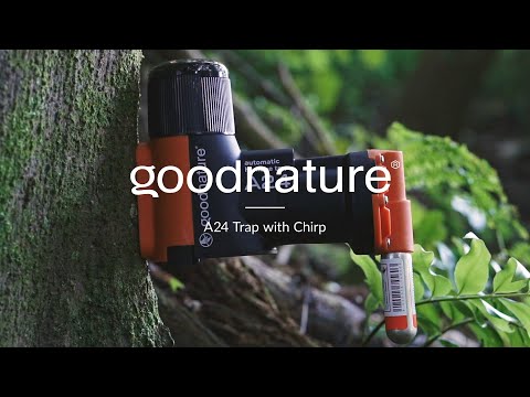 Goodnature A24 Rat & Mouse Trap, Non-Toxic & Automatic